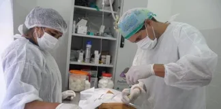 Se realizaron casi 70 castraciones y el quirófano móvil seguirá en La Quilmes