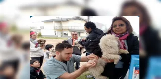 El derecho animal en una charla con expertos del Colegio de la Abogacía