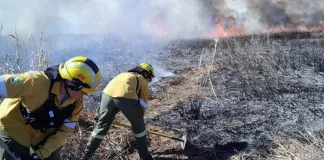 Se prohíben todas las quemas entre diciembre y febrero en Entre Ríos