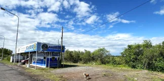 Concluyó el ordenamiento y traslado de vehículos secuestrados en ruta nacional 12
