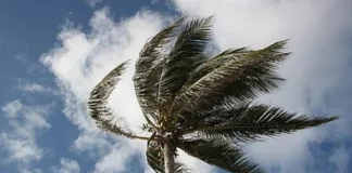 Alerta Amarillo por ráfagas de viento para este domingo en la región