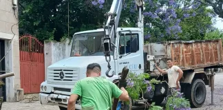 Nuevo temporal afectó a la ciudad, liberan calles y viviendas afectadas