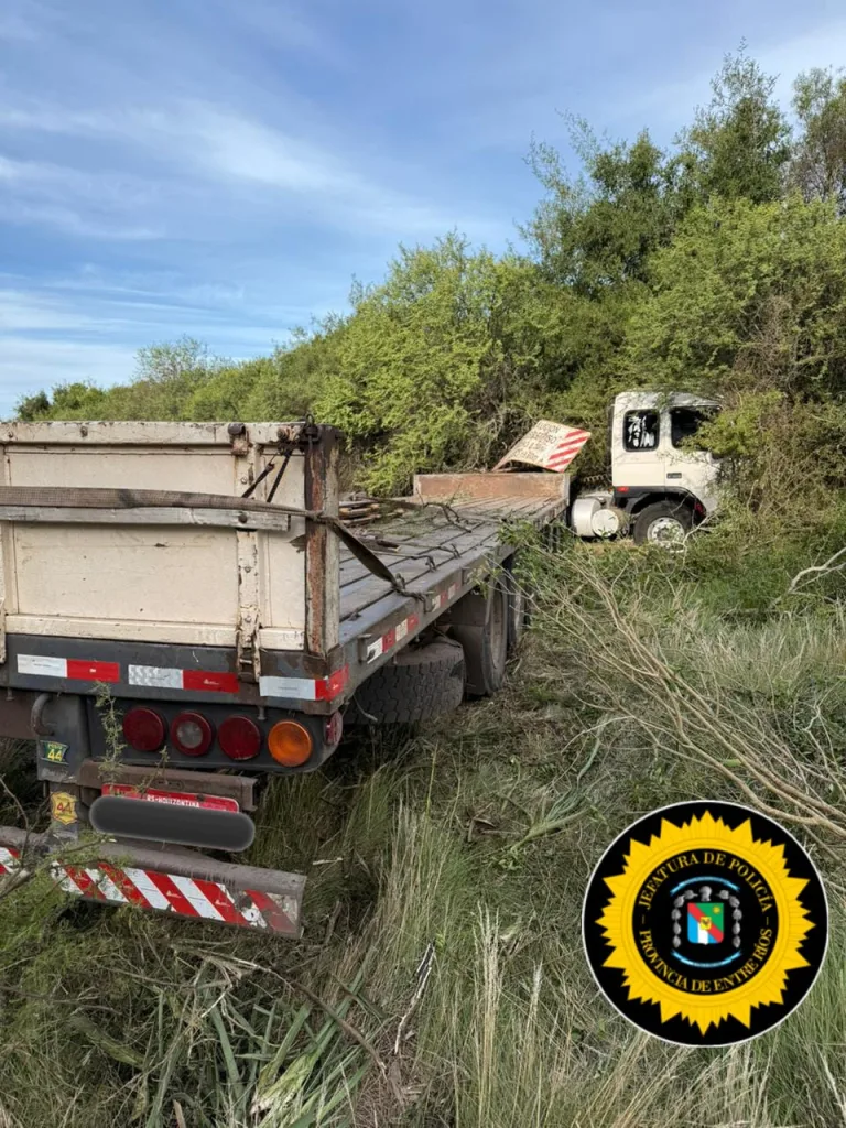 Despiste de un camión brasileño en Ruta Provincial Nº 6