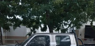 Allanamiento en Santa Anita por investigación de maltrato animal