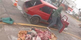 Operativo en ruta 42: dos hombres demorados con 100 kg de carne