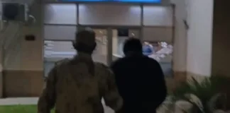 Federal: un detenido, un auto secuestrado y tres corderos recuperados tras un intento de abigeato