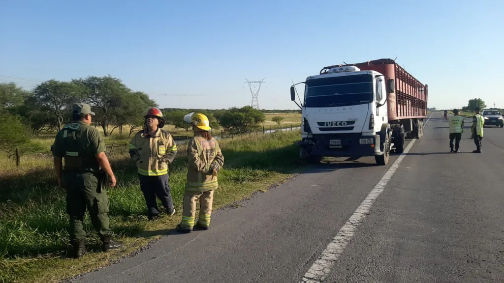 Siniestro vial fatal en la Autovía 14: un peatón falleció tras ser embestido por un camión