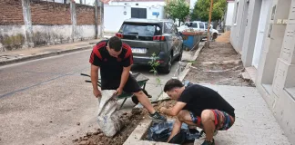 Continúan las plantaciones del Programa Municipal de Arbolado