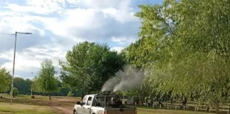 Salud: Continúa la campaña de prevención del dengue