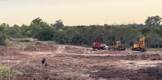 La Justicia ordenó recomponer el último bosque de chañar del departamento Colón