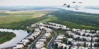 Humedales en riesgo: ¿en qué quedamos?