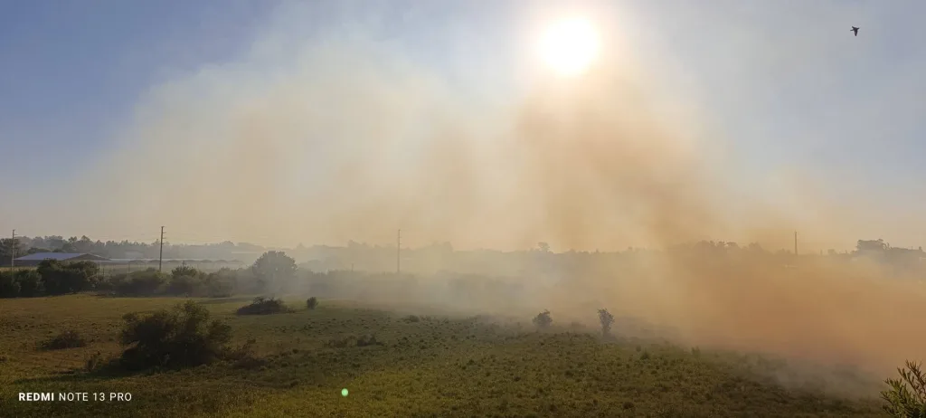 Incendio forestal en la zona del Tiro Federal movilizó a Bomberos y Policía