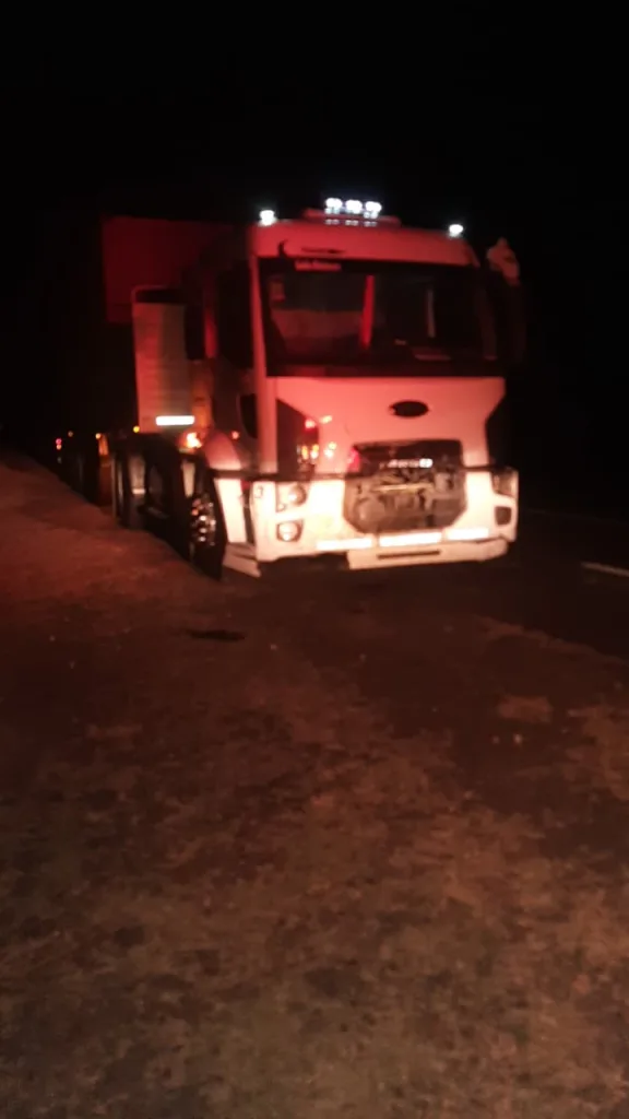 Siniestro vial en Ruta Nacional N°12: camión embistió a un caballo