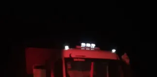 Siniestro vial en Ruta Nacional N°12: camión embistió a un caballo