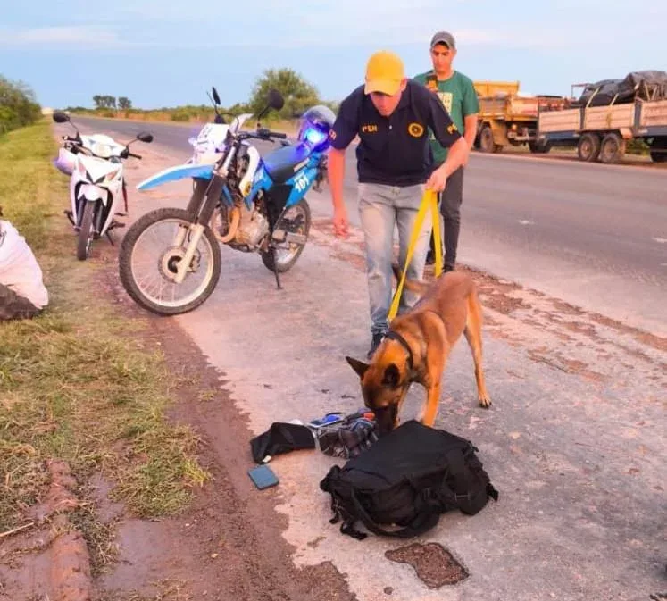 Rosario del Tala, destacado trabajo del can antidrogas “Layka” en operativo nocturno