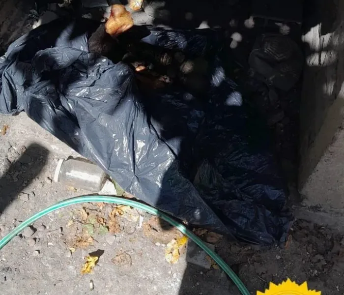 WhatsApp Image 2026-01-23 at 17.45.04