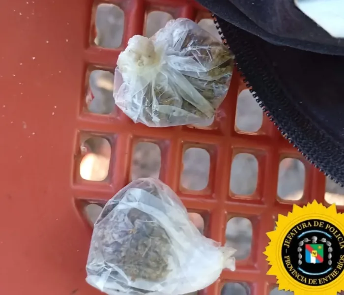 WhatsApp Image 2026-01-23 at 17.45.04(1)