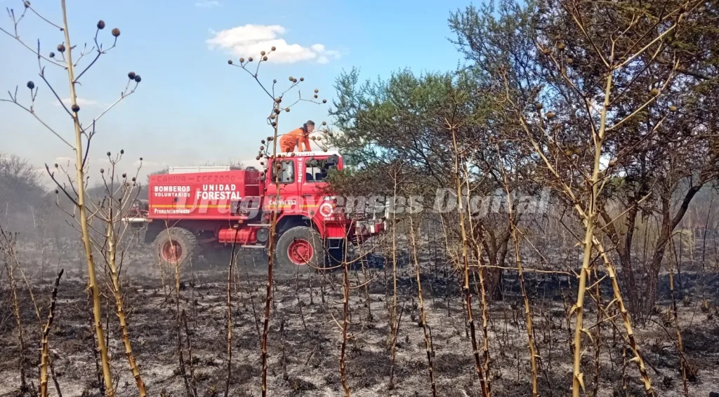 Incendio en Herrera: amplio despliegue de bomberos de la región para controlar el fuego