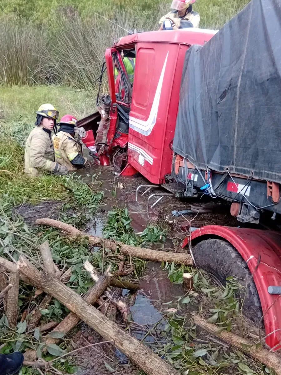 WhatsApp Image 2026-01-30 at 09.51.39