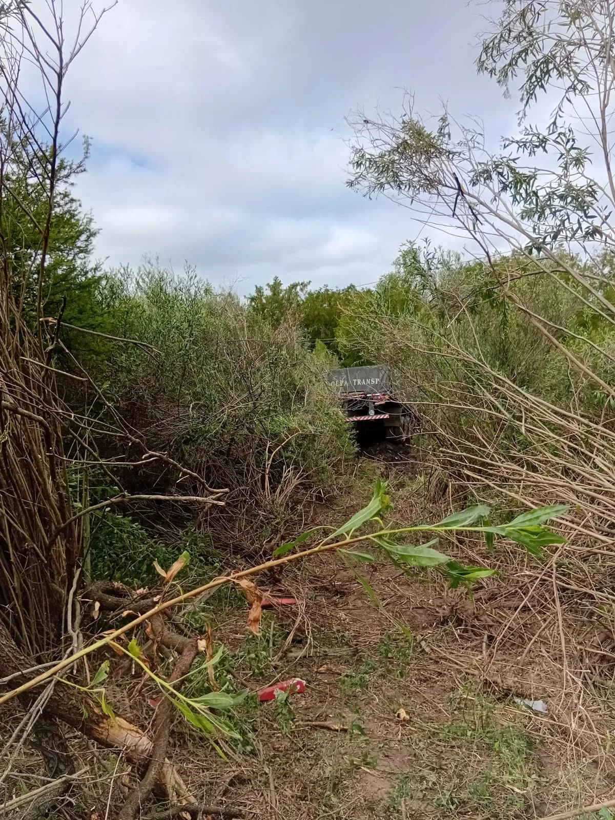 WhatsApp Image 2026-01-30 at 09.51.39(1)