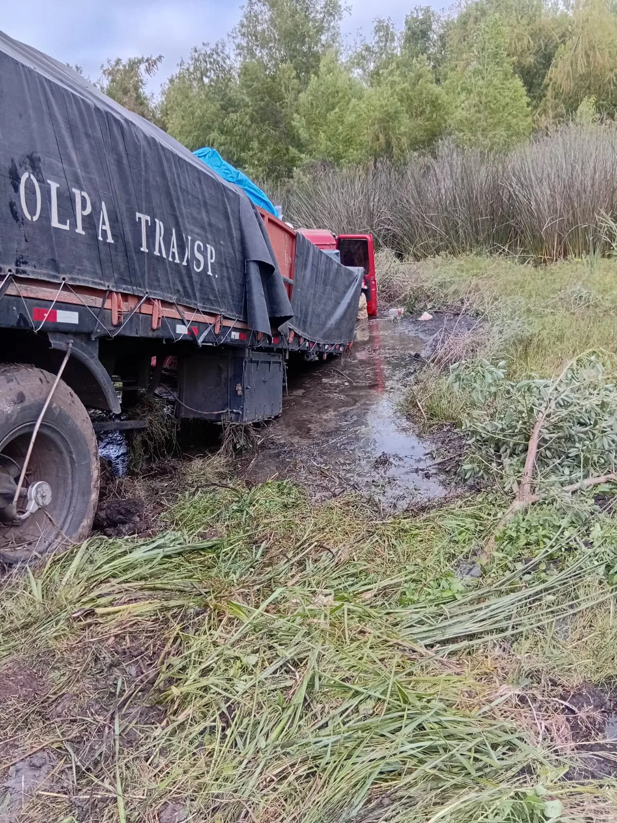 WhatsApp Image 2026-01-30 at 09.51.40