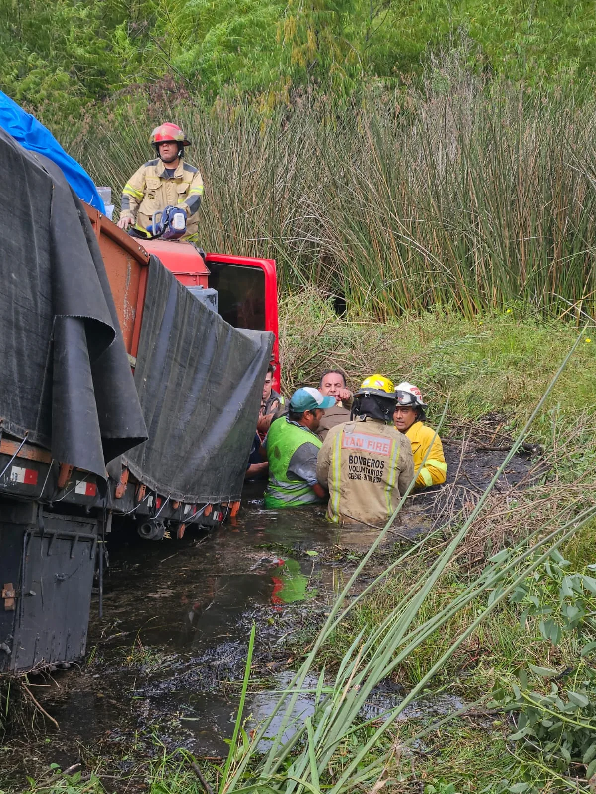 WhatsApp Image 2026-01-30 at 09.51.41