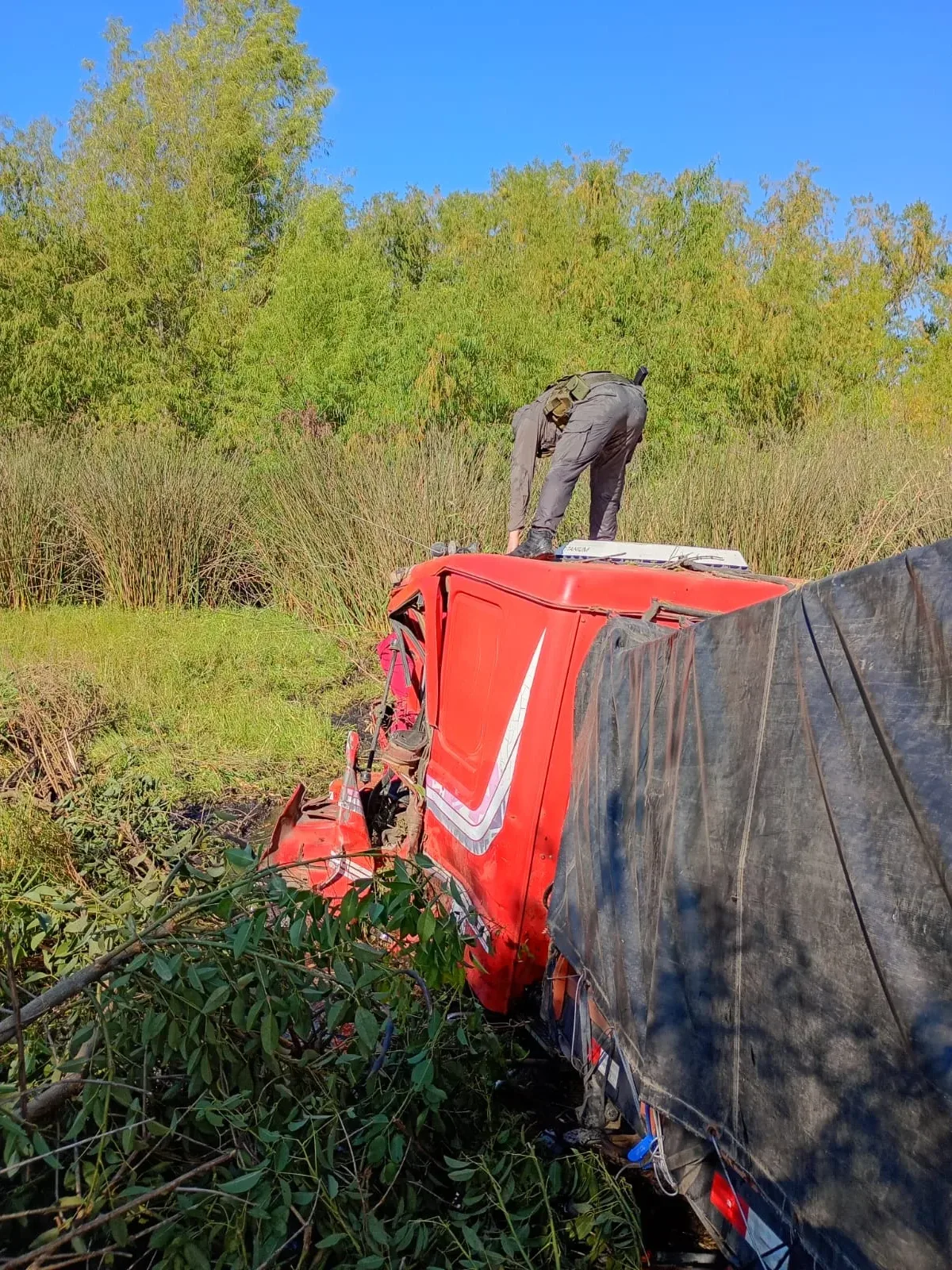 WhatsApp Image 2026-01-30 at 09.51.47