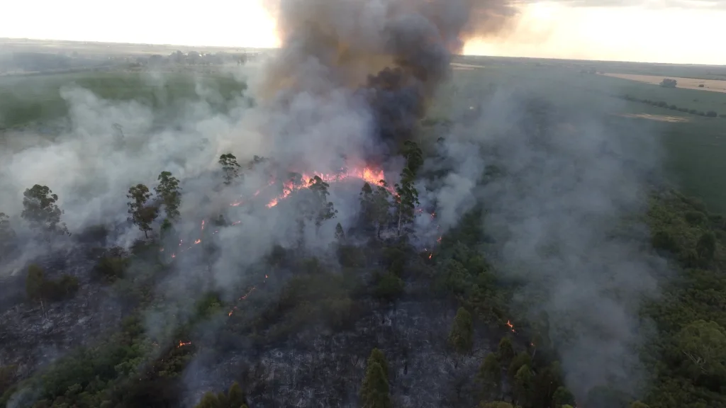 Concepción del Uruguay: controlaron un incendio forestal frente al barrio Las Tinajas (Zona Hipódromo)