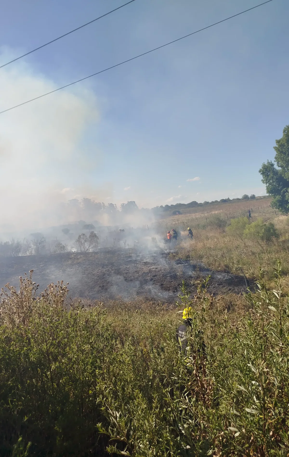 WhatsApp Image 2026-02-01 at 13.46.15