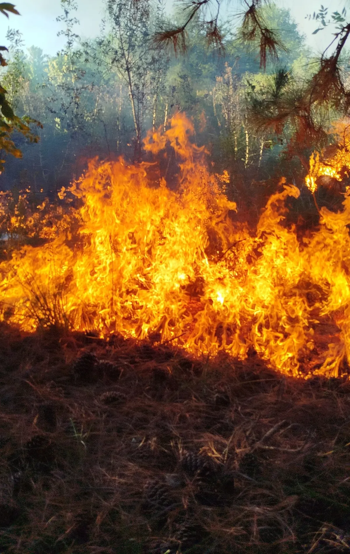 WhatsApp Image 2026-02-01 at 13.46.18