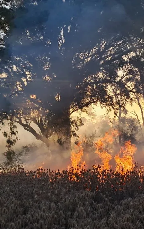 WhatsApp Image 2026-02-01 at 13.46.19