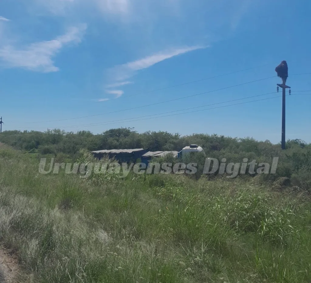 Federal: camión que transportaba piedra se despistó en la Ruta 127