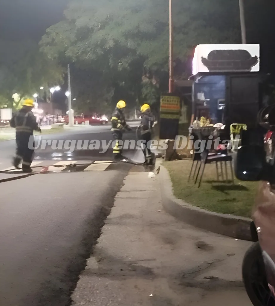 Principio de incendio en un carrito de comida: bomberos actuaron rápidamente