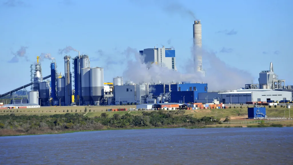 Uruguay avanza en la instalación de una nueva pastera