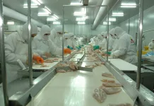 El Municipio embargó cuentas de Granja Tres Arroyos por una deuda millonaria y luego levantó la medida