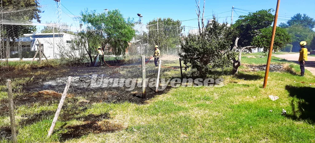Bomberos sofocaron un incendio de pastizales en el barrio 61 Viviendas