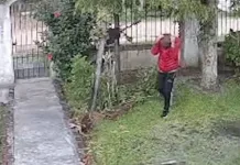 Allanamiento por un robo: identificaron a un sospechoso y recuperaron elementos sustraídos