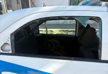 Robó, mordió a un efectivo, arrojó hierros y dejó tres policías lesionados