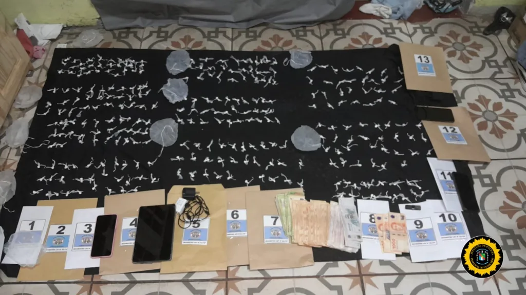 Siete detenidos tras allanamientos antidrogas en Paraná