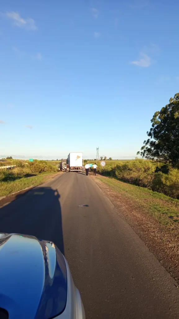 Camión con desperfecto mecánico generó desvíos en Autovía 18