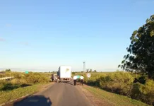 Camión con desperfecto mecánico generó desvíos en Autovía 18