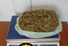 Secuestraron más de 300 gramos de marihuana en control vial de Brazo Largo