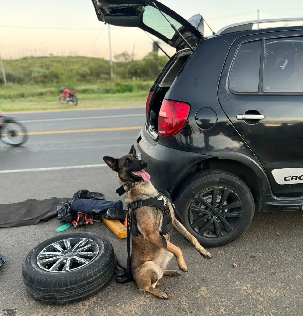Golpe al narcotráfico en Concordia: secuestran casi 8 kilos de droga y detienen a dos personas