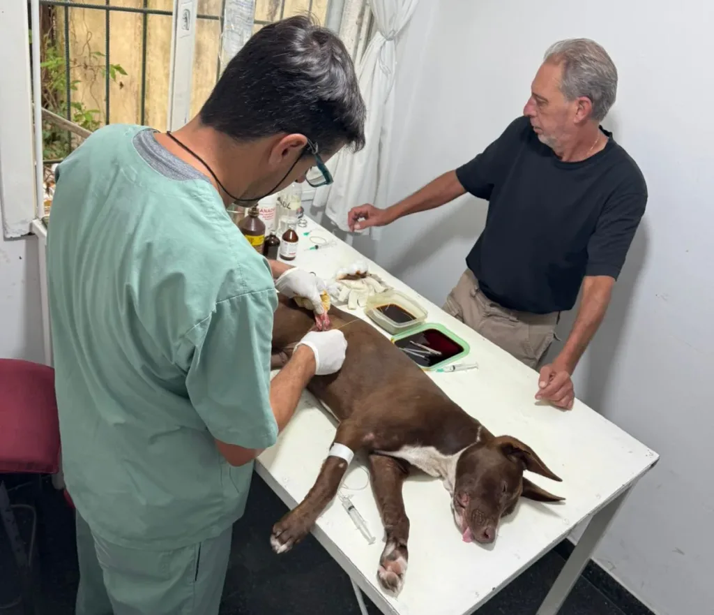 Última semana del Castramóvil en el barrio Ex Circuito Mena