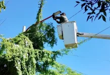 Continúa la iluminación del Tránsito Pesado y diversas zonas de la ciudad