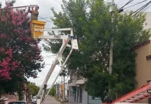 Con dos frentes, avanza el Plan de Recambio de Luminarias