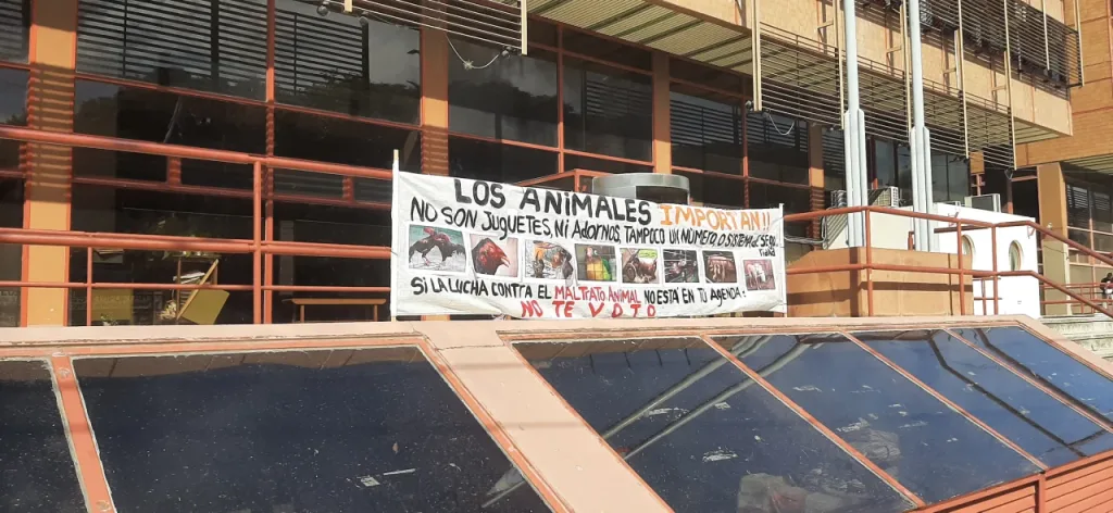 Concepción del Uruguay: No se presentó la acusada por maltrato animal y reprogramaron el juicio