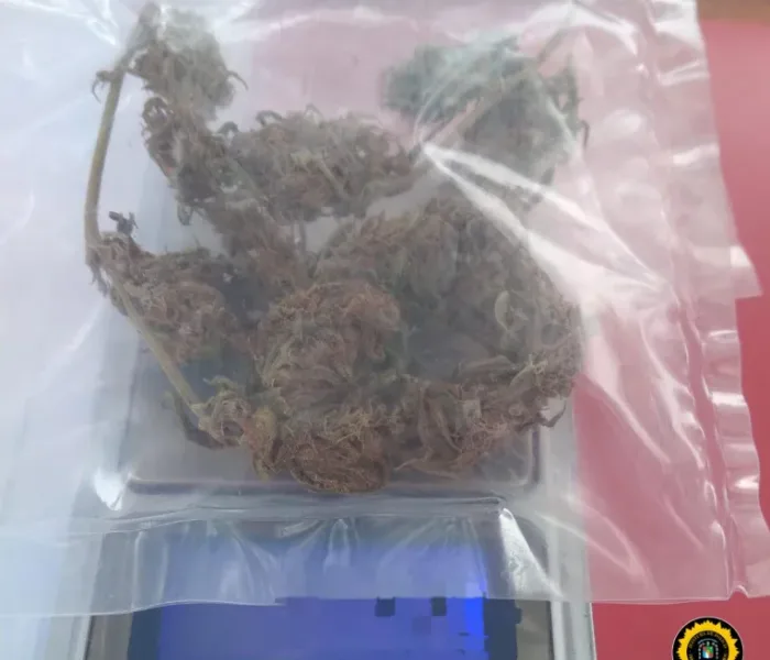 WhatsApp Image 2026-04-04 at 06.00.08(1)