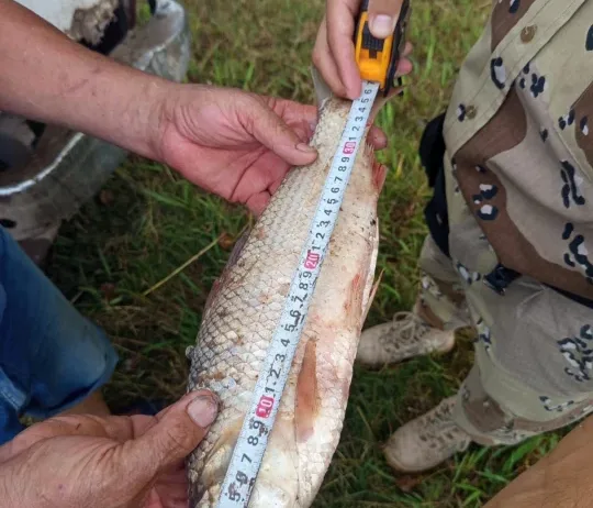 WhatsApp Image 2026-04-05 at 18.41.11