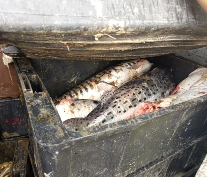 WhatsApp Image 2026-04-05 at 18.41.12